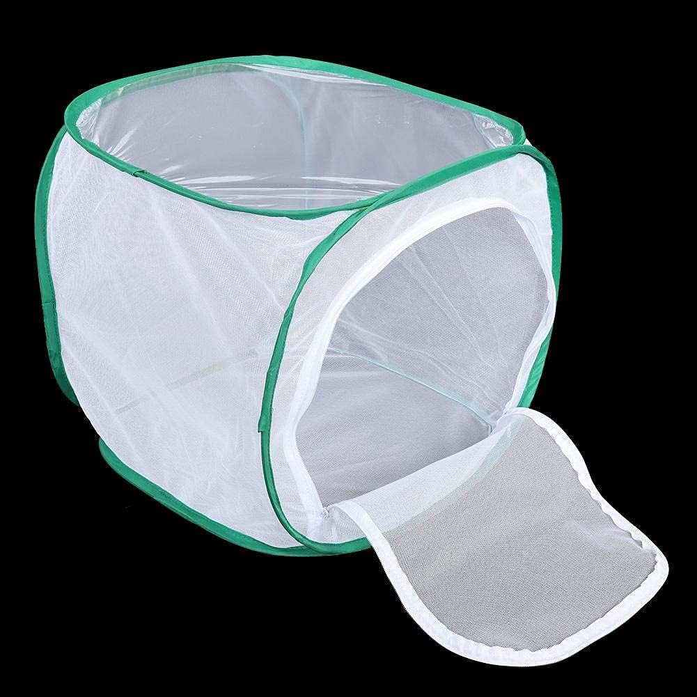 Fdit Grosser Schmetterlingskäfig, zusammenklappbarer Caterpillar Habitat Collapsible und Butterfly H