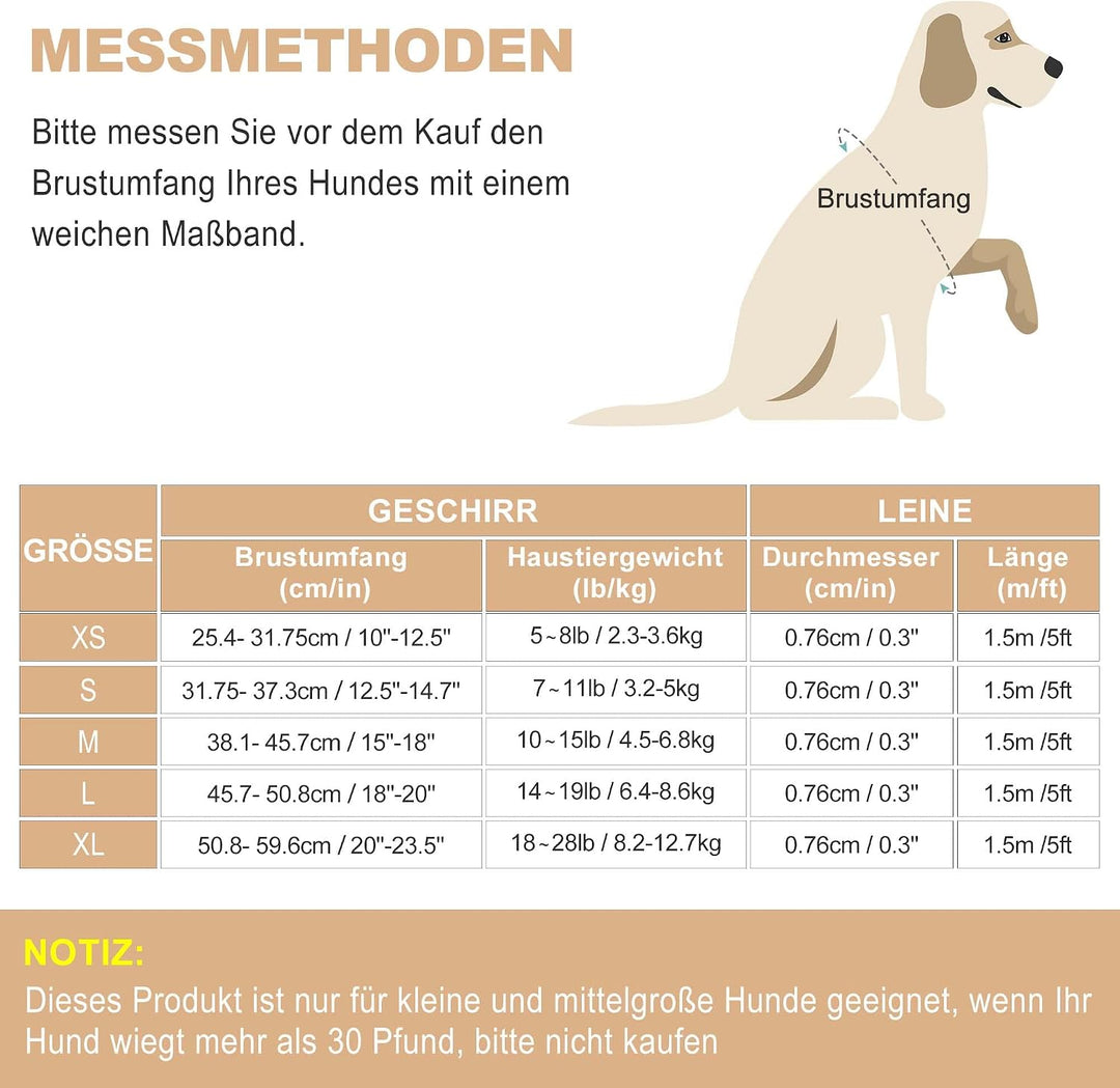 haapaw Hundegeschirr und Leine Set, kein Ziehen, verstellbares, reflektierendes Step-in-Welpengeschi