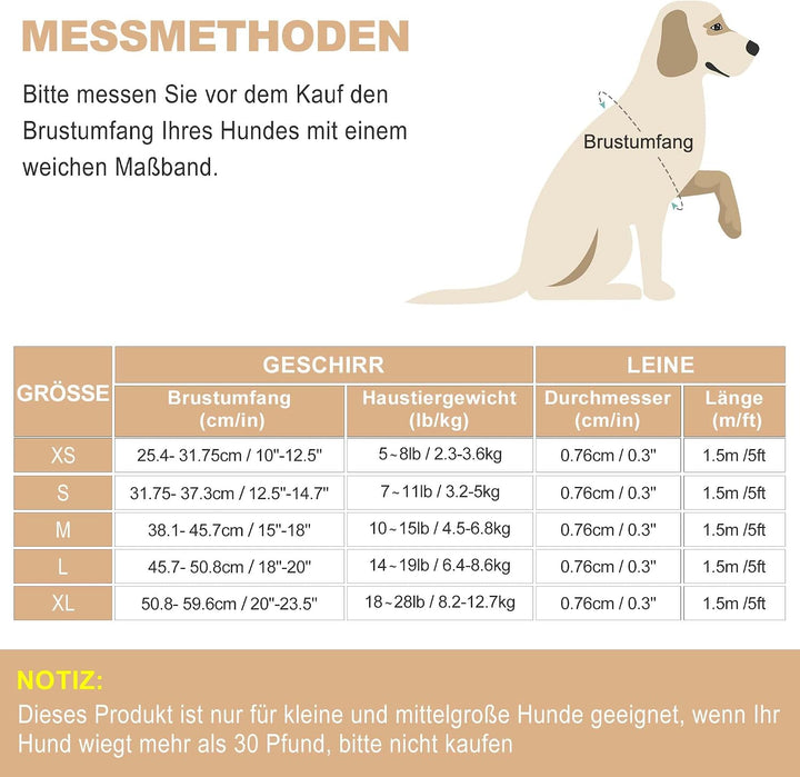haapaw Hundegeschirr und Leine Set, kein Ziehen, verstellbares, reflektierendes Step-in-Welpengeschi