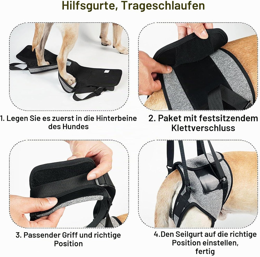 Tragehilfe Hund Gross, Tragehilfe Hund Hinterbein s, Dog Back Leg Support, Dog Carrying Aid, Verstel