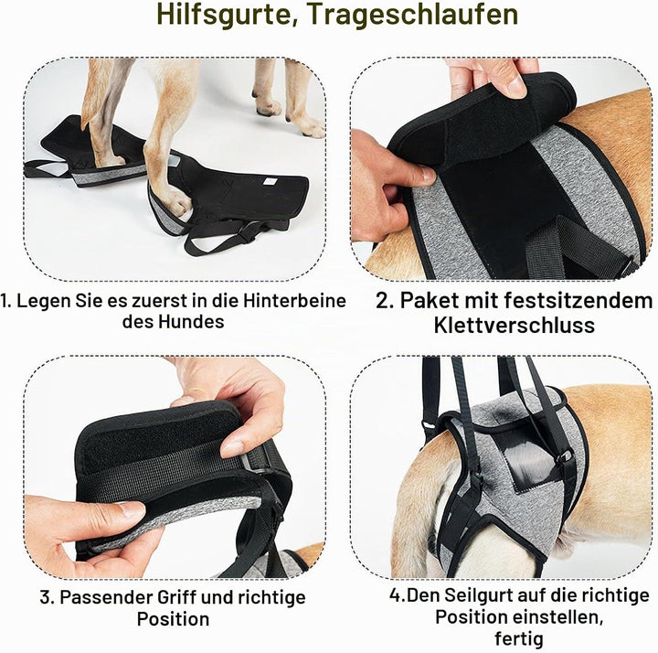 Tragehilfe Hund Gross, Tragehilfe Hund Hinterbein s, Dog Back Leg Support, Dog Carrying Aid, Verstel