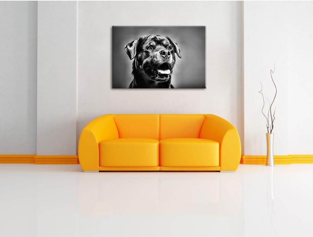 Pixxprint Monocrome, Treuer Rottweiler, Format: 100x70 auf Leinwand, 100x70