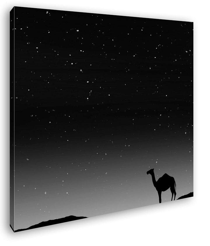 deyoli Illustration Kamel bei Abenddämmerung Format: 70x70 Effekt: Schwarz&Weiss als Leinwandbild, M