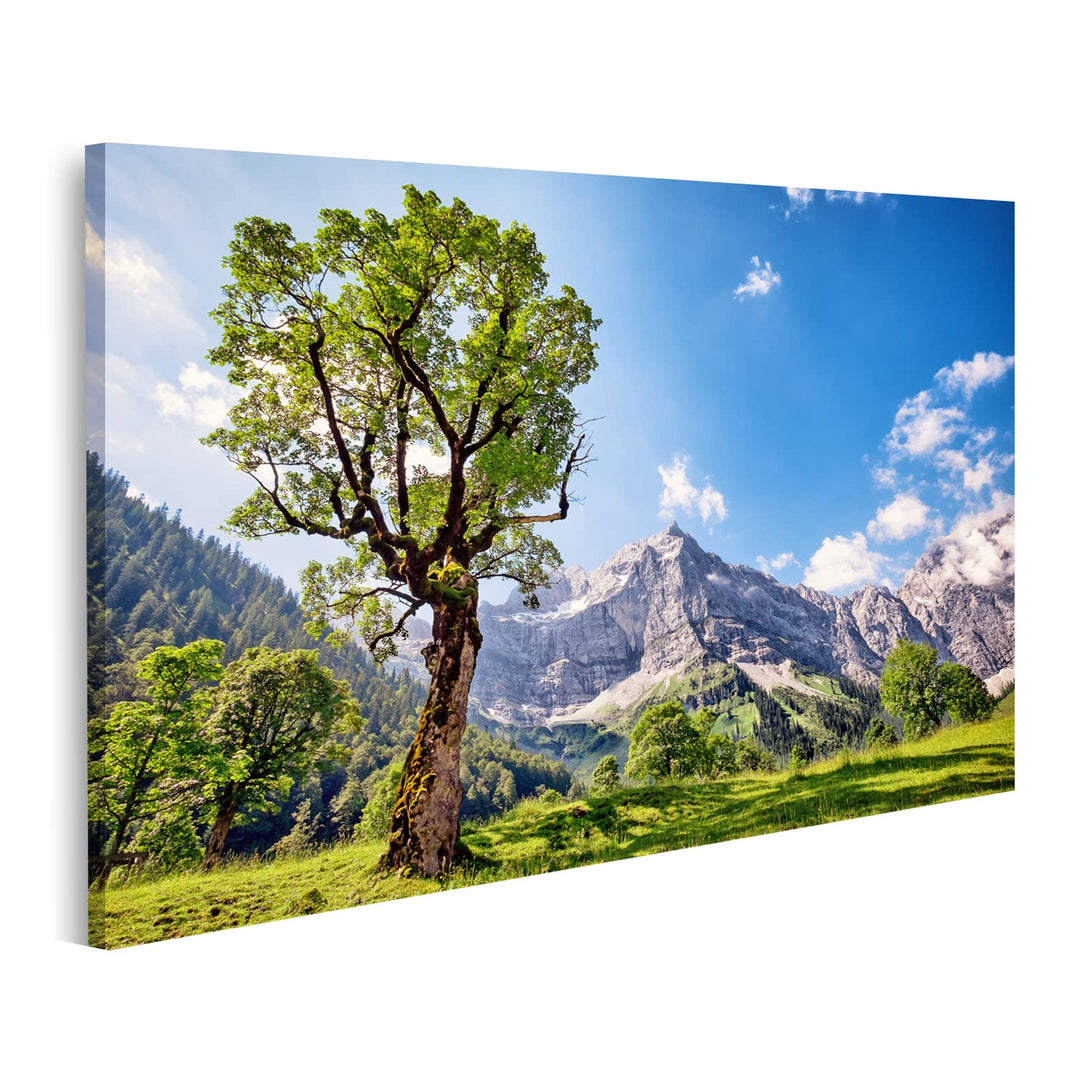 islandburner Bild auf Leinwand Karwendelgebirge In Österreich Alpen Bilder Wandbilder Poster Leinwan