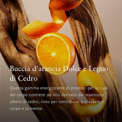 RITUALS Body Scrub The Ritual of Mehr – Körperpeeling mit Aroma von süsser Orange und Zedernholz – 9
