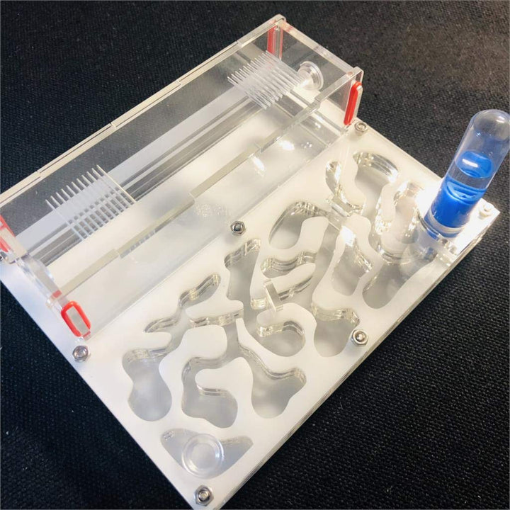 Ant Farm Educational Formicarium für LIVE Ameisen Reagenzglas Feuchtigkeit grosser Raum Acryl Ameise