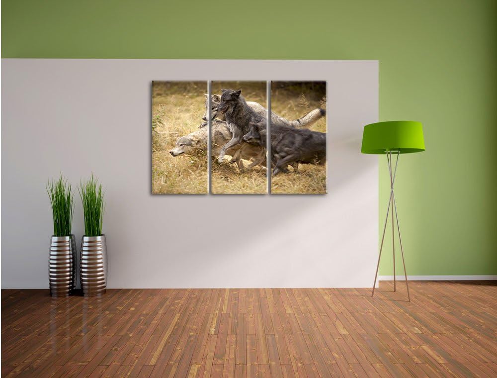 Pixxprint Tobendes Wolfsrudel als Leinwandbild | Grösse: 3 Teilig (120x80) | Wandbild| Kunstdruck |