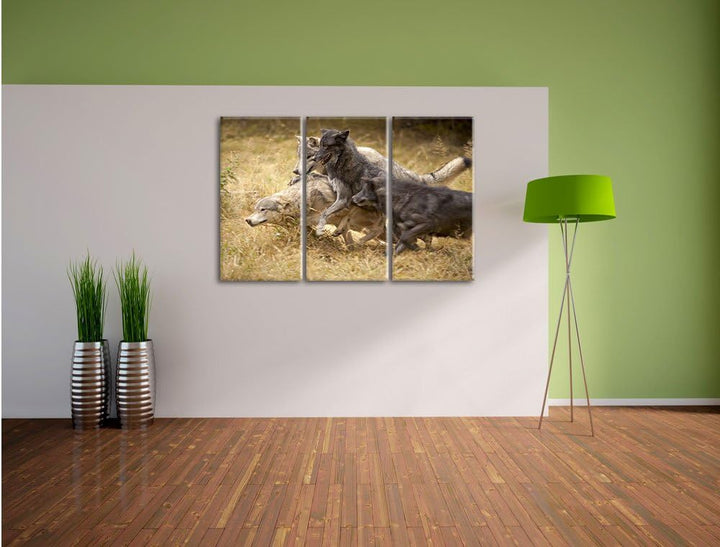 Pixxprint Tobendes Wolfsrudel als Leinwandbild | Grösse: 3 Teilig (120x80) | Wandbild| Kunstdruck |