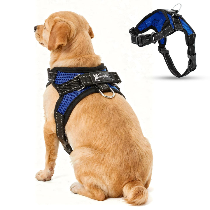 Hundegeschirr „Kein Ziehen“, reflektierend, verstellbar, mit Griff, Small, blau Small blau, Small bl