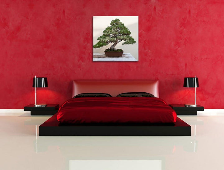 Pixxprint Bonsai Baum, Format: 70x70 auf Leinwand, XXL riesige Bilder fertig gerahmt mit Keilrahmen,