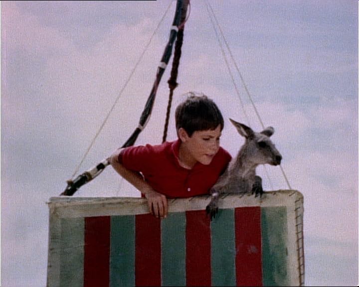 LCJ Skippy le kangourou, Saison 2 [6 DVDs] [FR Import], Computer