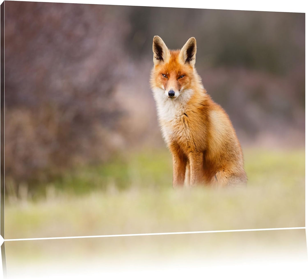 Pixxprint Listiger Fuchs Format: 100x70 auf Leinwand, XXL riesige Bilder fertig gerahmt mit Keilrahm