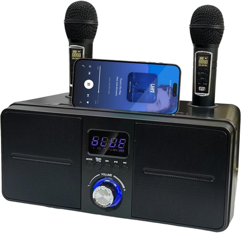 Bluetooth Karaoke Lautsprecher KTV Kit, Karaoke Ausrüstung mit Doppelmikrofon für zu Hause, AUX USB