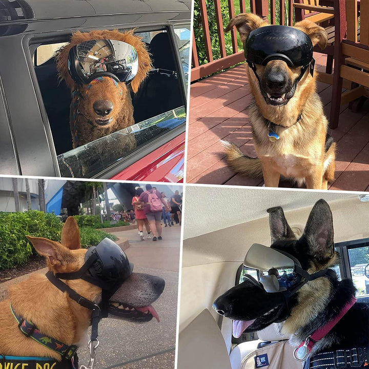 NAMSAN Hunde Sonnenbrille Hundebrille Sonnenbrillen für Hunde Verstellbarer Riemen für UV-Sonnenbril