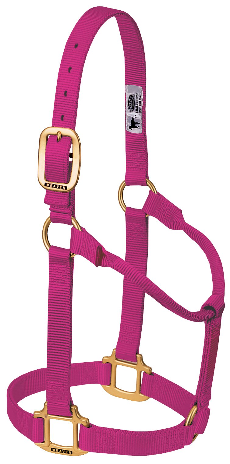 WEAVER Leather, Nicht verstellbares Halfter himbeere L Horse, himbeere L Horse