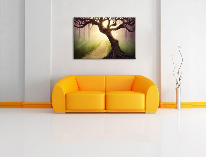 Riesiger Baum am Waldweg, Format: 100x70 auf Leinwand, XXL riesige Bilder fertig gerahmt mit Keilrah