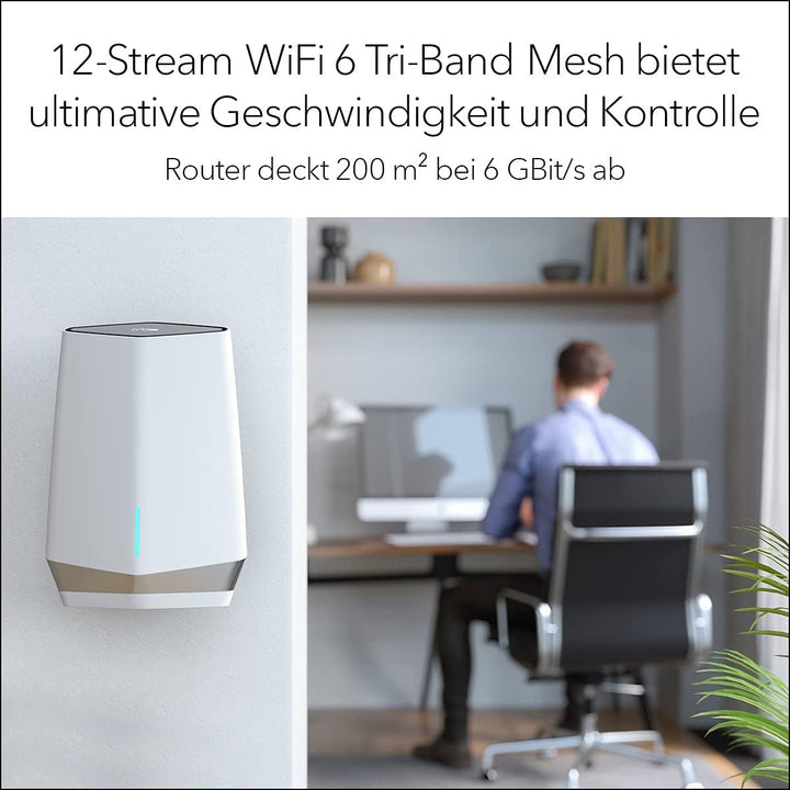 Netgear SXR80-100EUS Router (SXR80)