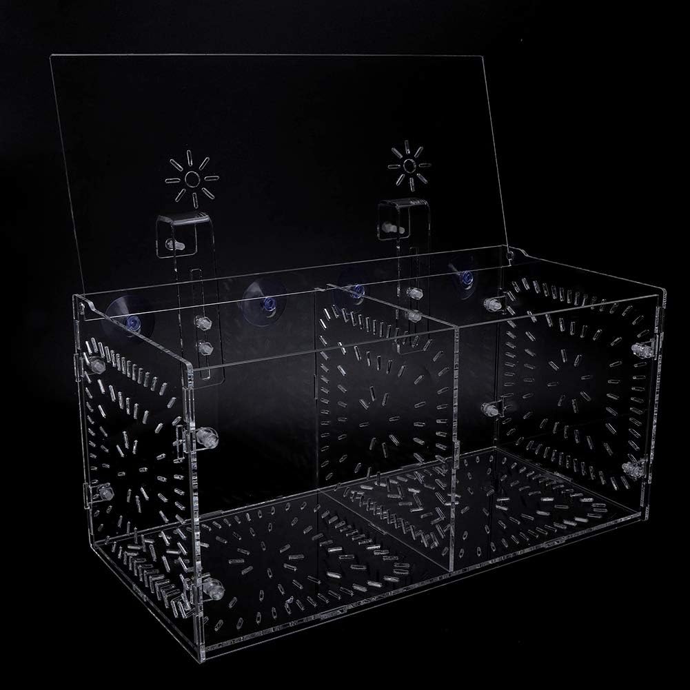 Pssopp Aquarium Zuchtbox Fischsämlinge Inkubator Aquarium Isolationsbox Aquarium Brutbrut Fischteile