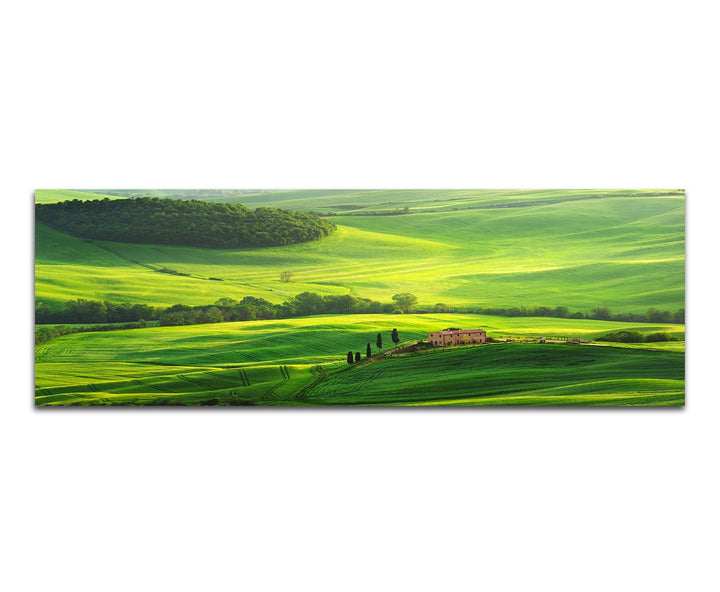 Paul Sinus Art Panoramabild auf Leinwand und Keilrahmen 120x40cm Toskana Berge Hügel Wiesen Sonnenli