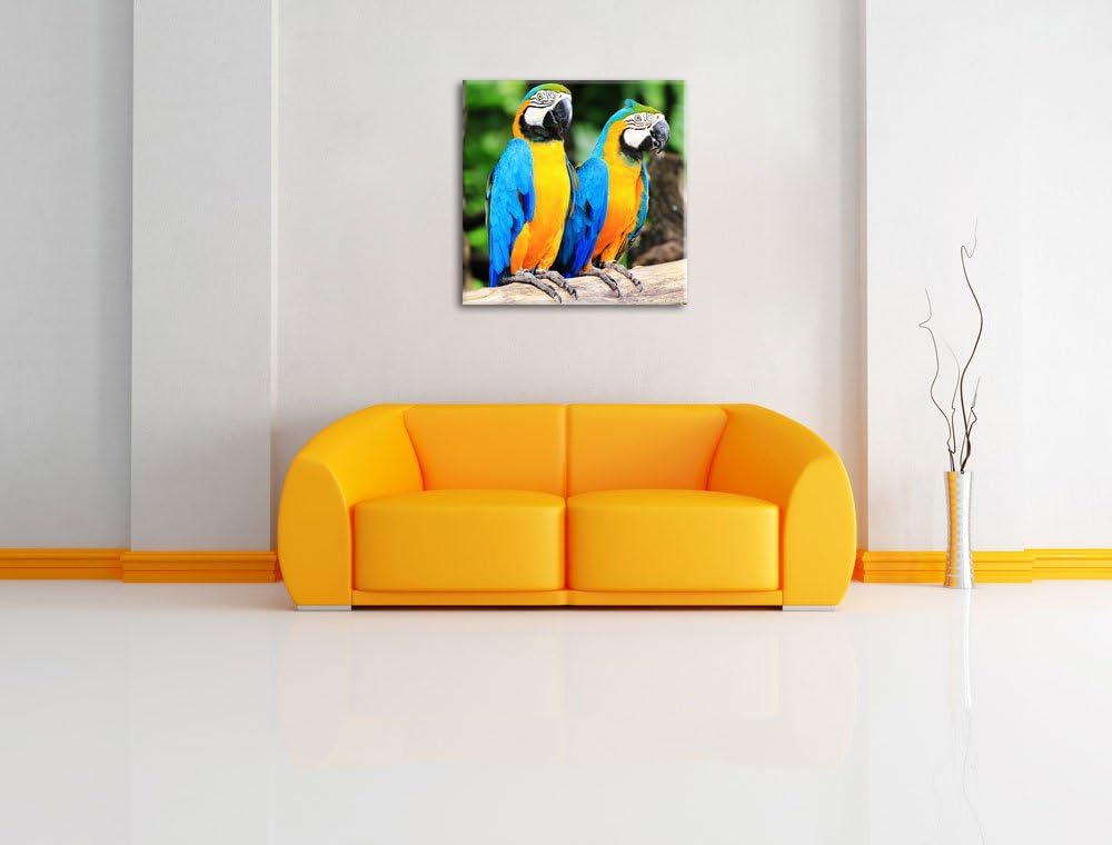 Zwei Papageien, Format: 70x70 auf Leinwand, XXL riesige Bilder fertig gerahmt mit Keilrahmen, Kunstd