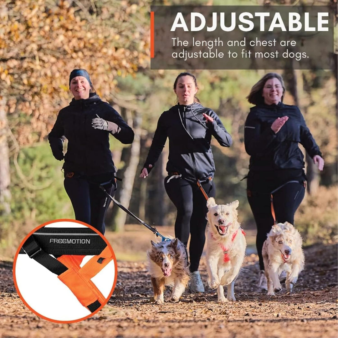 Non-stop dogwear FREEMOTION Harness 5.0 |111| Hundegeschirr für alle Sportarten, Grösse:5, 5