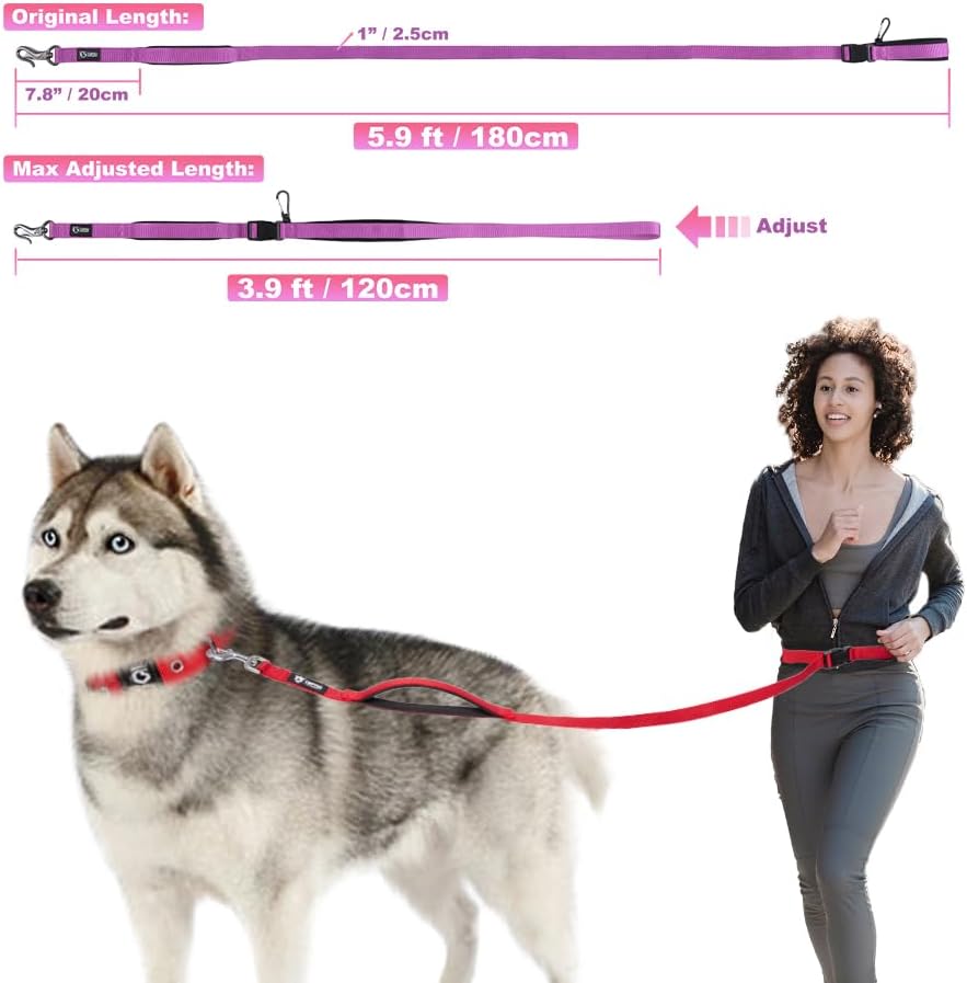 TSPRO Freihandleine Hund für Mittel bis Grosse Hunde, Verstellbar und Dauerhaft, mit Weichem Gepolst
