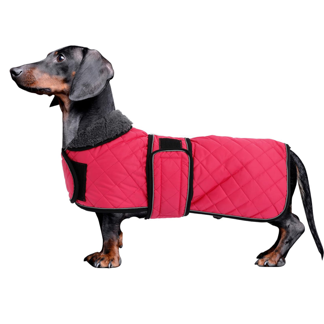 MOREZI Hundemantel Winter für Dackel - Wasserdichter Hunde Pullover mit Wolle Futter & Verstellbaren