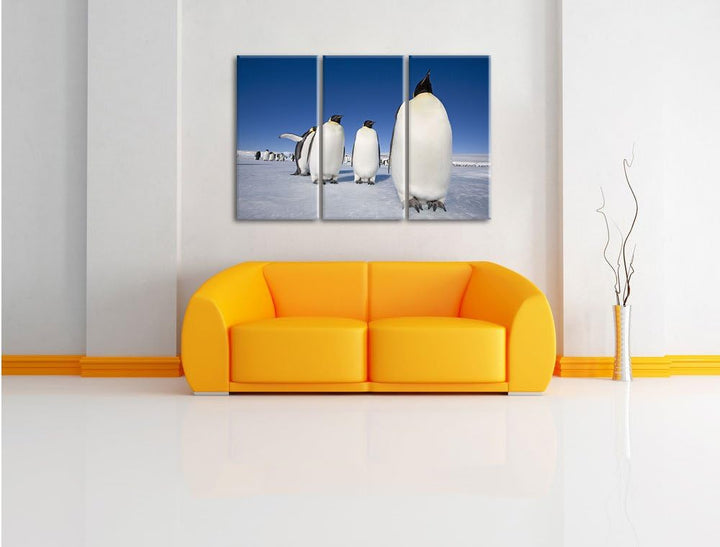 Pixxprint Kaiserpiguine in Antarktis / 3-Teilig/Gesamtmass 120cm Leinwandbild bespannt auf Holzrahme
