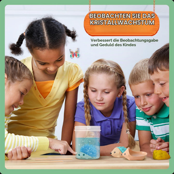 Igel Kristall Zücht Set, 2er Pack Kristall Hedgehog Growing Kit, Experimentierkasten für Kinder ab 8