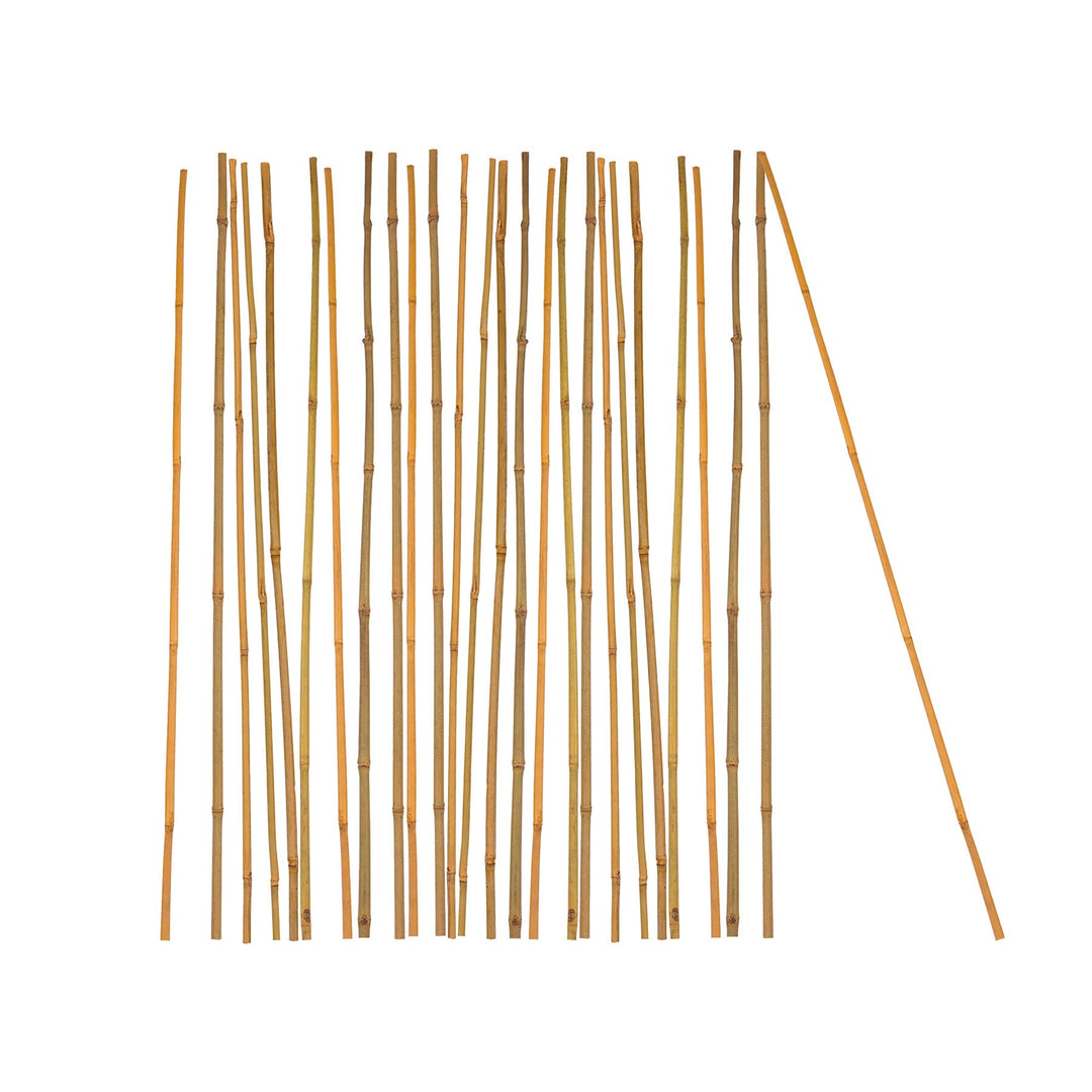 BigDean 25x Pflanzstab Bambusstab 105 cm x 8-10 mm Bambus Rankhilfe Pflanzstab Tonkinstab 100% Natur