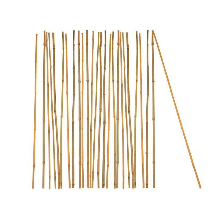 BigDean 25x Pflanzstab Bambusstab 105 cm x 8-10 mm Bambus Rankhilfe Pflanzstab Tonkinstab 100% Natur
