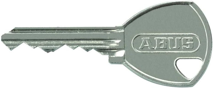 ABUS Titalium Vorhängeschloss 80TI/50 gl.-8011 - gleichschliessend - Kellerschloss mit leichtem, mas