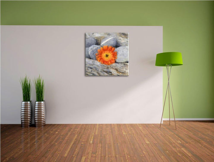 Pixxprint kleine Gerbera zwischen Zen Steinen, Format: 70x70 als Leinwandbild, 70x70