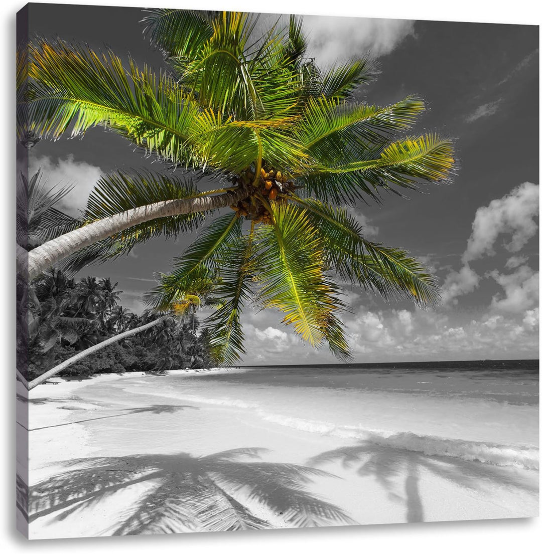 Pixxprint riesige Palem über Strand schwarz/weiss, Format: 70x70 auf Leinwand, 70x70