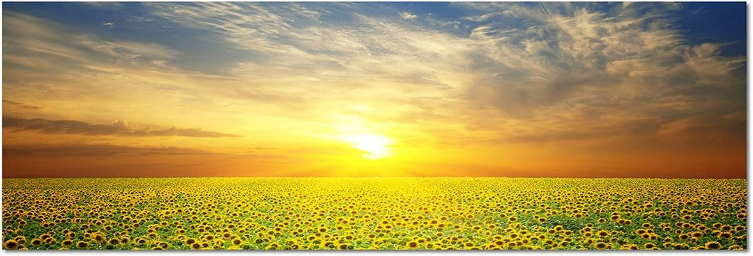 Wandbild auf Leinwand als Panorama in 150x50cm Sonnenblumenfeld Sonne Sommer
