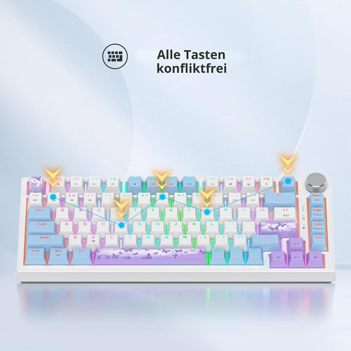 SOLIDEE Verkabelte Mechanische Gaming Tastatur 75 Prozent,hot-swap-fähige Mechanische Tastatur mit G
