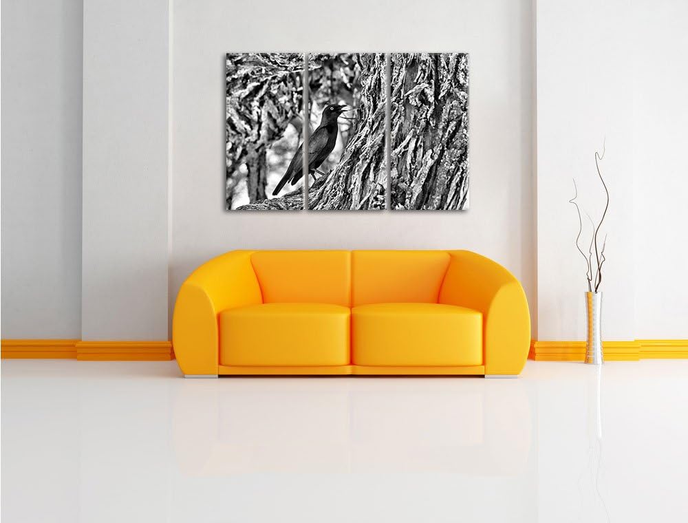 Pixxprint Monocrome, Purpurglanzstar auf Baum 3-Teiler Leinwandbild 120x80 Bild auf Leinwand