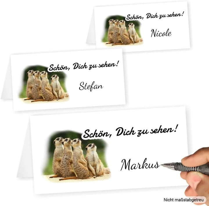 Geburtstagseinladung für jedes Alter - eigener Text wird eingedruckt. Motiv Erdmännchen wir sehen wo