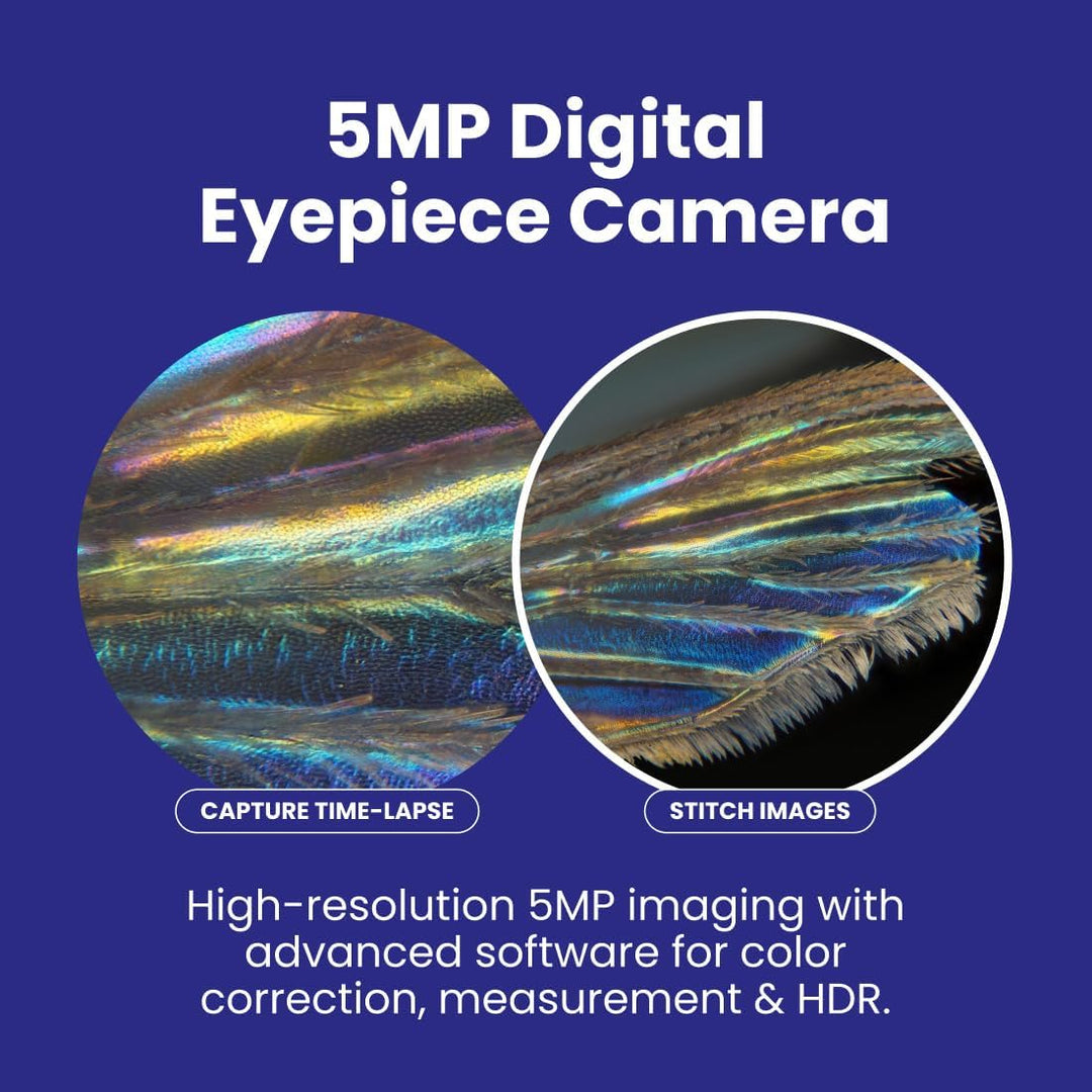 AmScope B120C-E5 40X-2500X LED Digitales Binokular-Verbundmikroskop mit 3D-Bühne und 5MP USB-Kamera