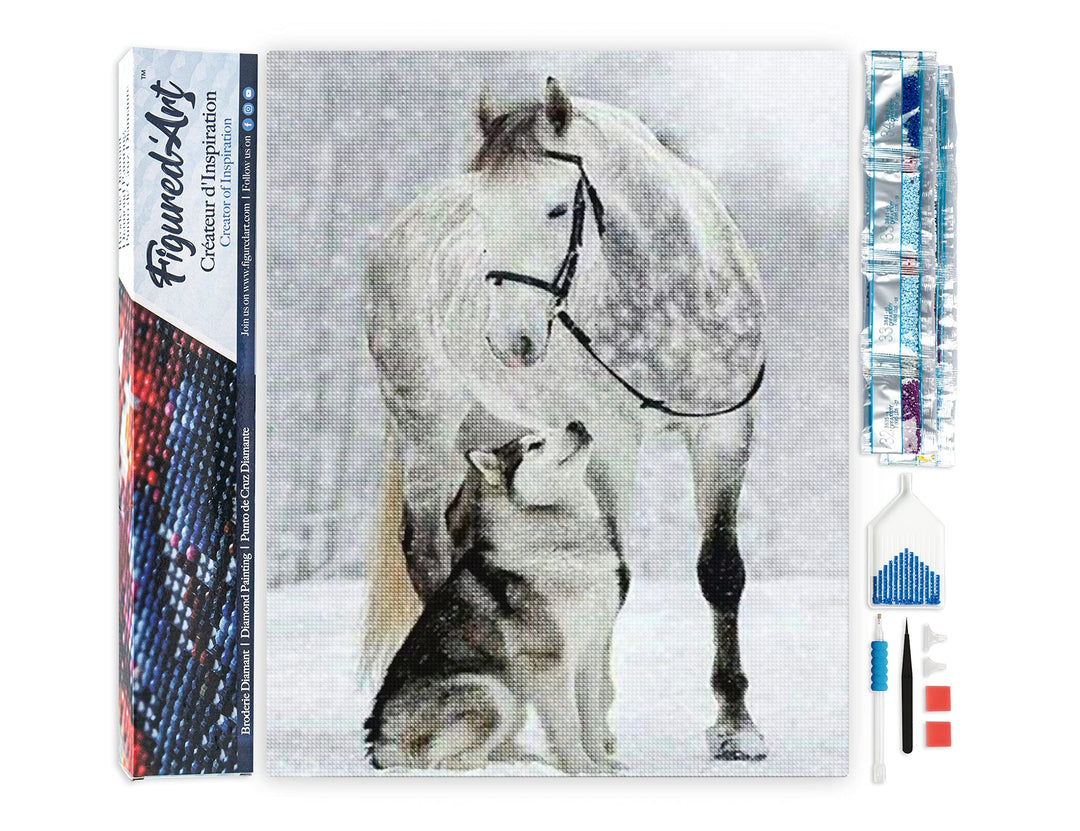 Figured'Art Diamond Painting Erwachsene 40x50cm Ganze Leinwand gerollt Pferd und Wolf im Schnee 5D B