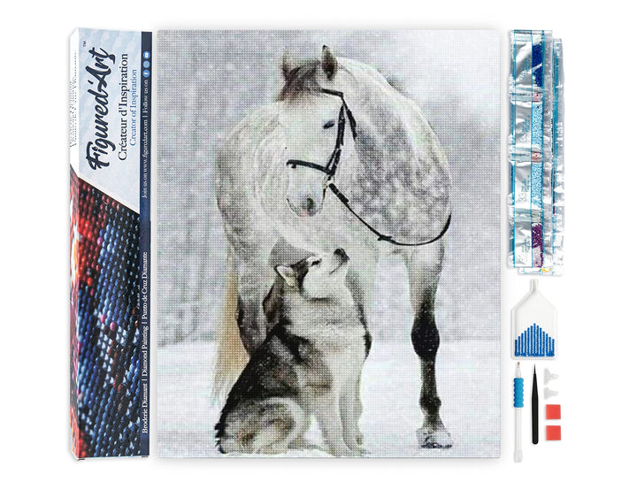 Figured'Art Diamond Painting Erwachsene 40x50cm Ganze Leinwand gerollt Pferd und Wolf im Schnee 5D B
