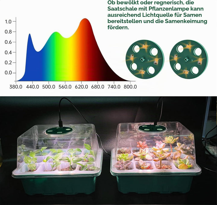 Mini Gewächshaus mit Licht, Anzucht Gewächshaus, Sonnenähnliche Pflanzenlichter mit vollem Spektrum,