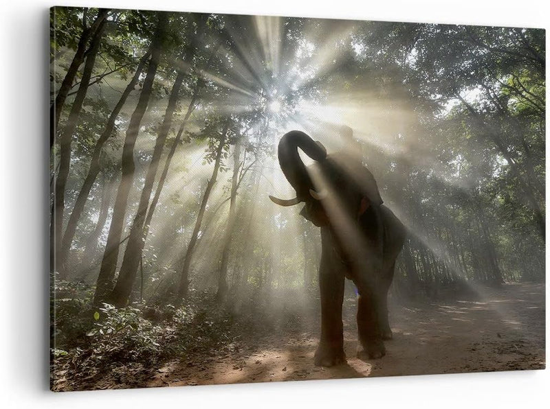 Bilder auf Leinwand 100x70cm Leinwandbild mit Rahmen Elefant Dschungel Gross Wanddeko Bild Schlafzim