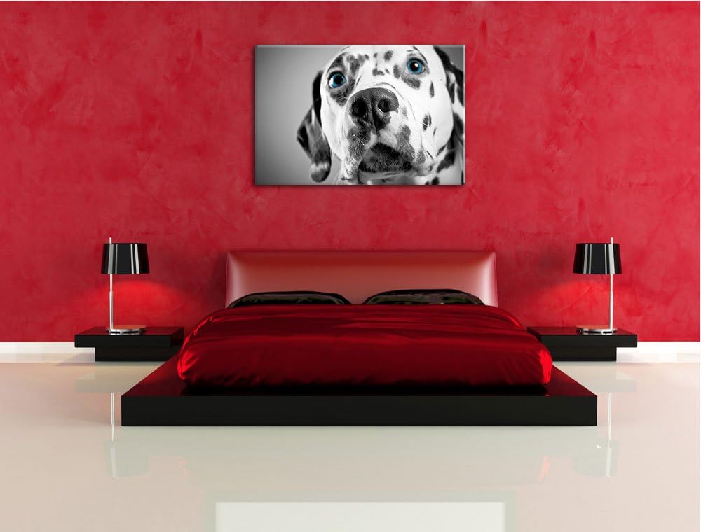 aufmerksamer Dalmatiner schwarz/weiss Format: 100x70 auf Leinwand, XXL riesige Bilder fertig gerahmt
