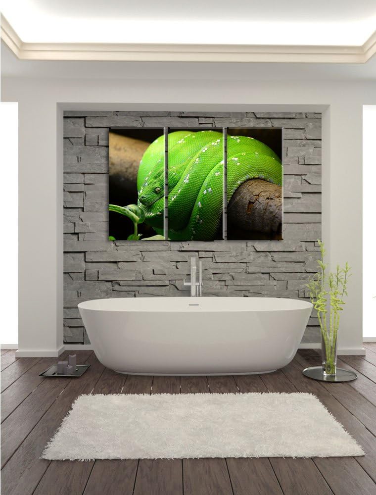 Pixxprint Grüne exotische Schlange als Leinwandbild/Grösse: 3 Teilig (120x80 cm) cm/Wandbild/Kunstdr