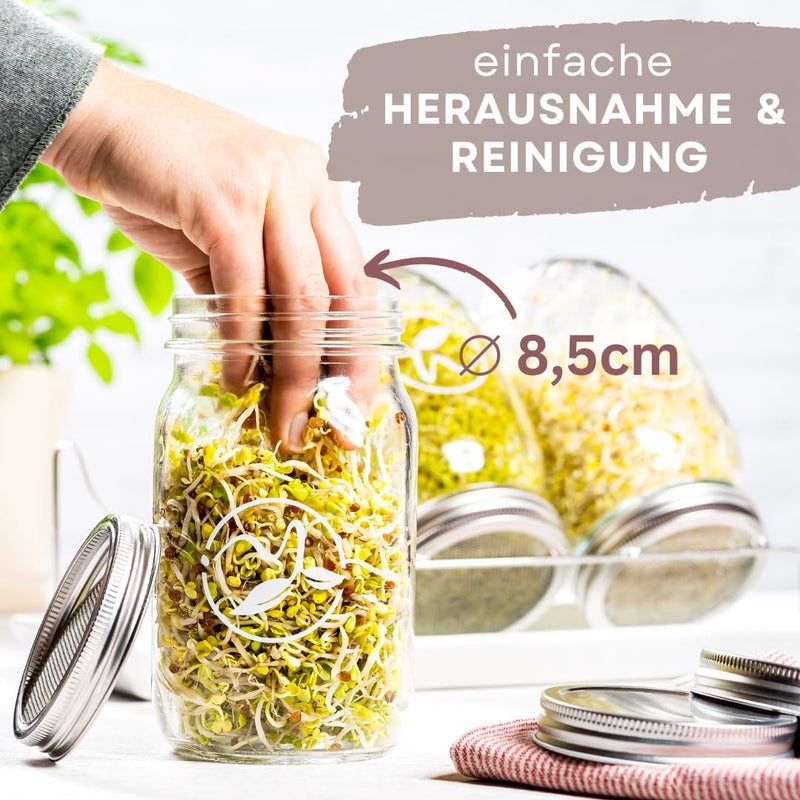 ZELLGUT® 2in1 Sprossenglas 3er Set - Keimglas 100% Plastikfrei - Vorratsglas Funktion durch extra De