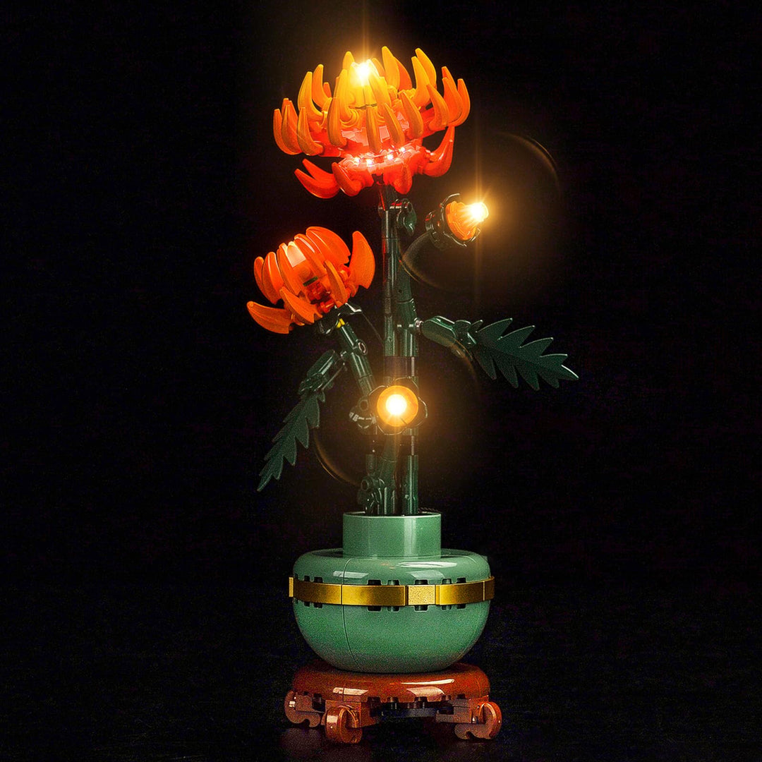 Licht Kompatibel mit Lego 10368 Chrysanthemum, Nur Lichter Set - Kein Modell, Licht BeleuchtungSet C