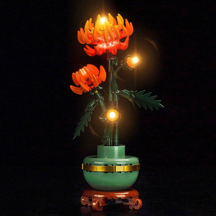 Licht Kompatibel mit Lego 10368 Chrysanthemum, Nur Lichter Set - Kein Modell, Licht BeleuchtungSet C