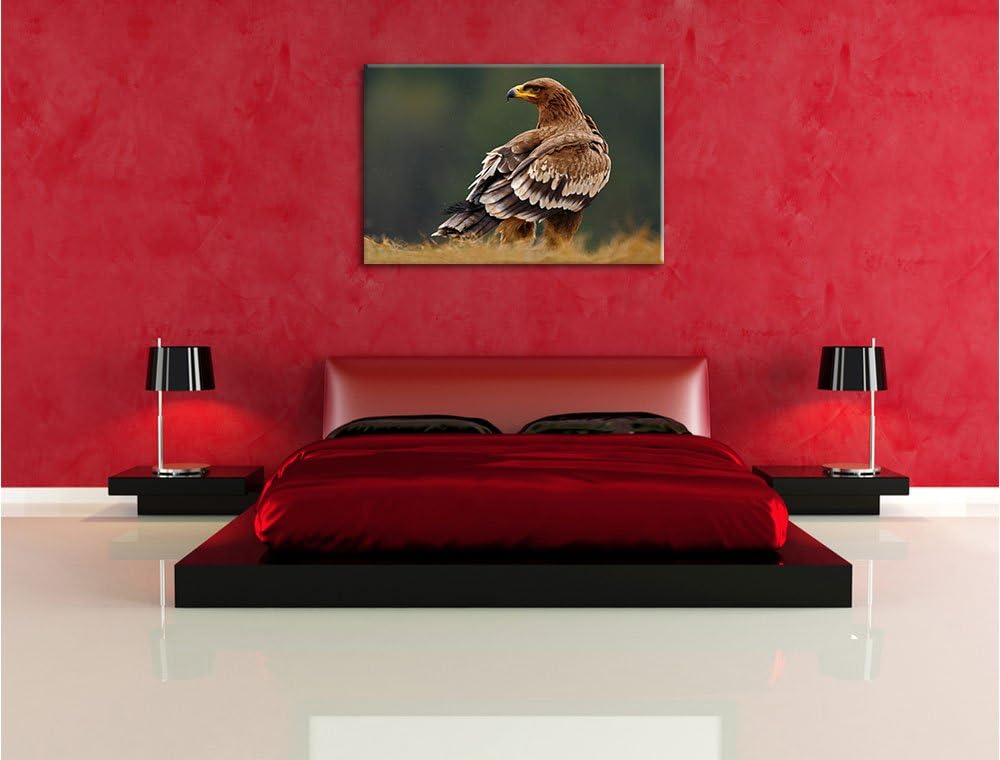 Pixxprint Einsamer Falke mit braunem Gefieder, Format: 100x70 auf Leinwand, 100x70