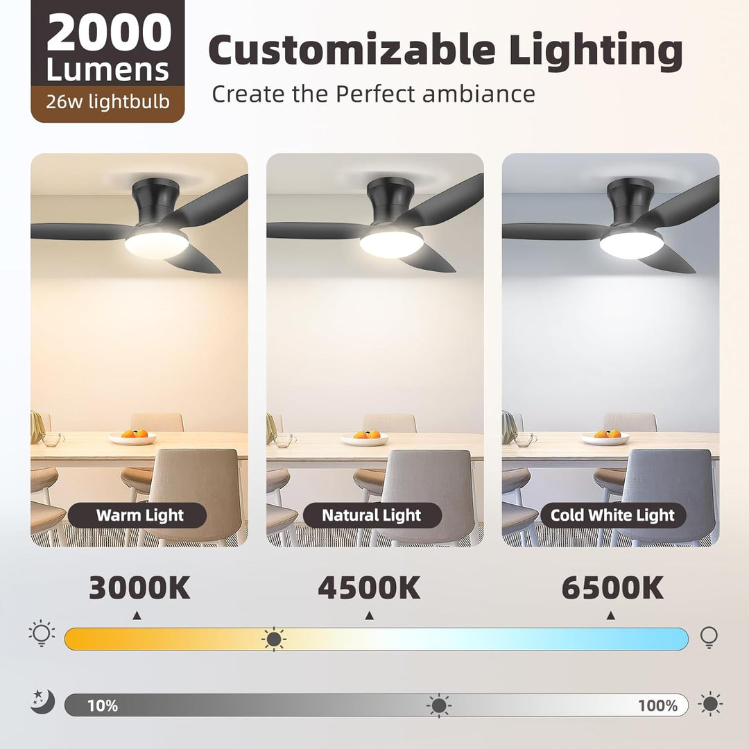 Deckenlampe mit Ventilator,Schwarz,Ø100cm App Steuerung & Fernbedienung Deckenventilator mit Beleuch